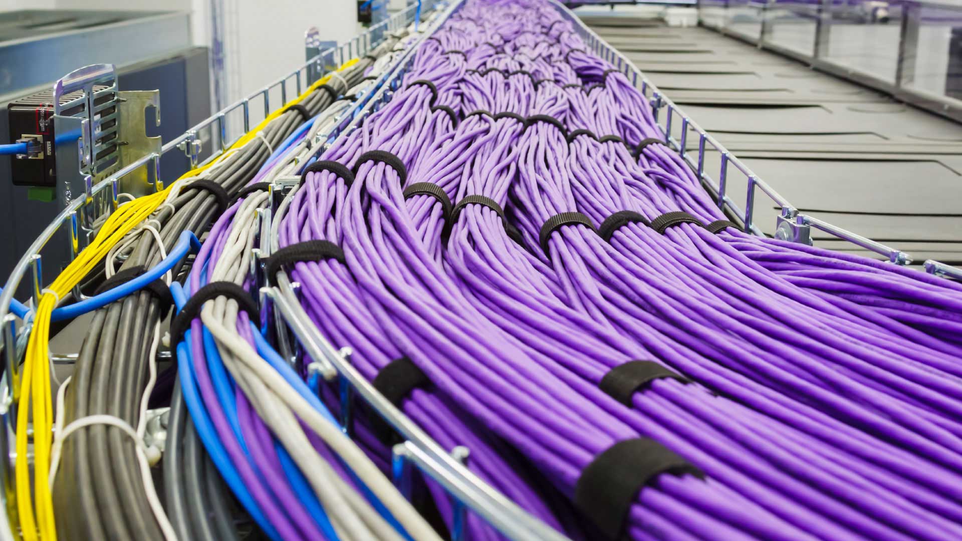 Rows of neatly tied cables in a raceway